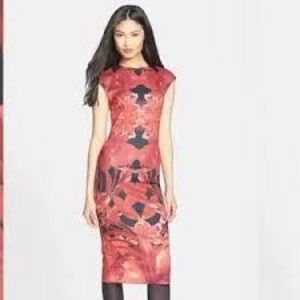Ted Baker London NAIAS Midi Dress